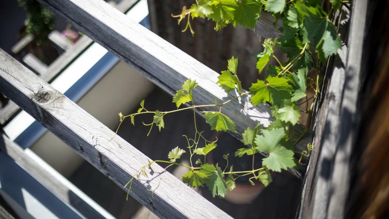 Biohotel Theiner'S Garten Lana Zewnętrze zdjęcie